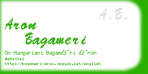 aron bagameri business card